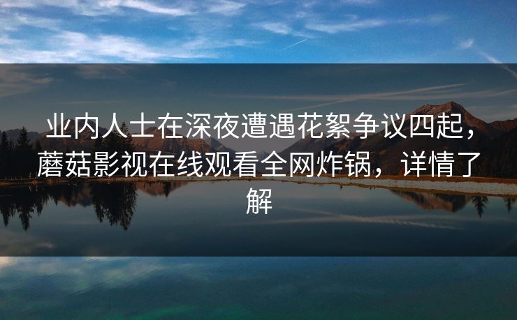 业内人士在深夜遭遇花絮争议四起，蘑菇影视在线观看全网炸锅，详情了解